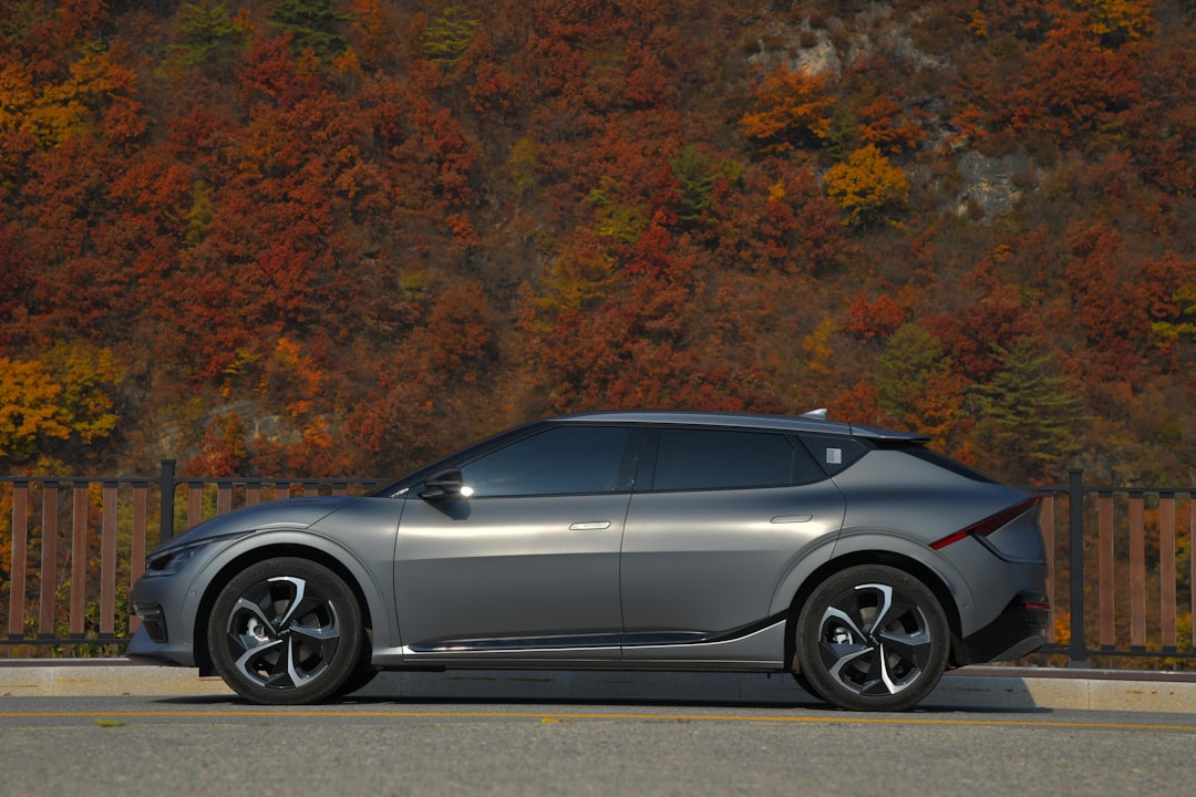 EV owner reviewing insurance policy documents at home
